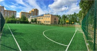 Футбольные поля семи учебных заведений столицы будут отремонтированы