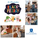 Black Friday la Elite Academia: plătește 2 luni și primește a treia lună gratuit!