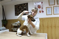 Наталья Косякова: «Я видела, как животные чудом излечивают болеющих детей»