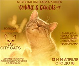 13 и 14 апреля: Клубная выставка кошек