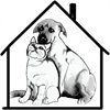Laika - Организация по защите животных — Питомник для собак