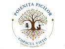 Poienița Picilor — Частное детский сад